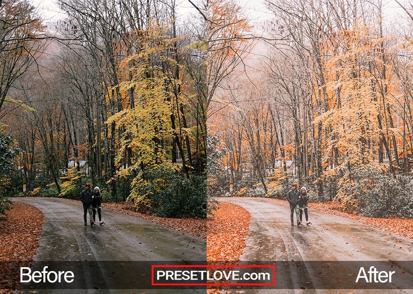 A couple strolling on a road lined with tress in fall with orange leaves all around