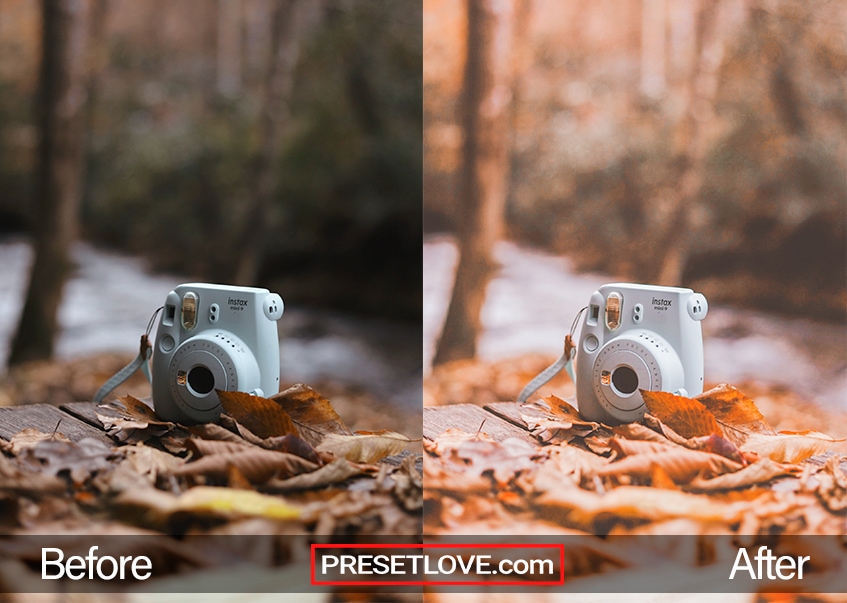 An analog camera on a pile of autumn leaves