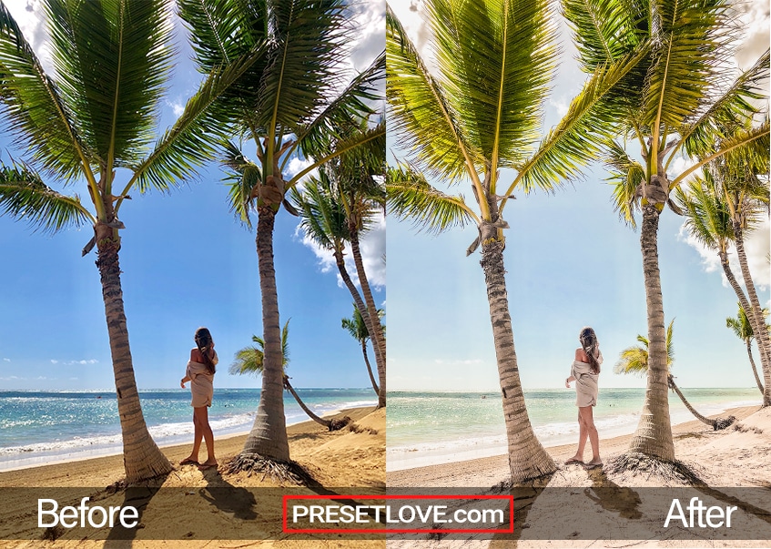 A warm and vibrant photo of a woman standing between two palm trees at the beach