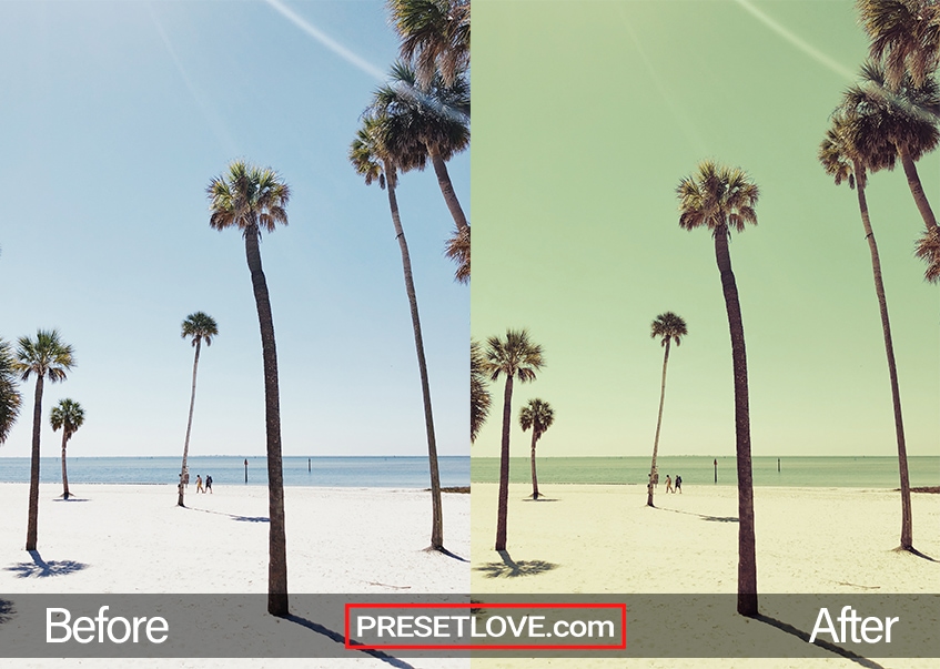 A yellowish retro photo of palm trees on a beach