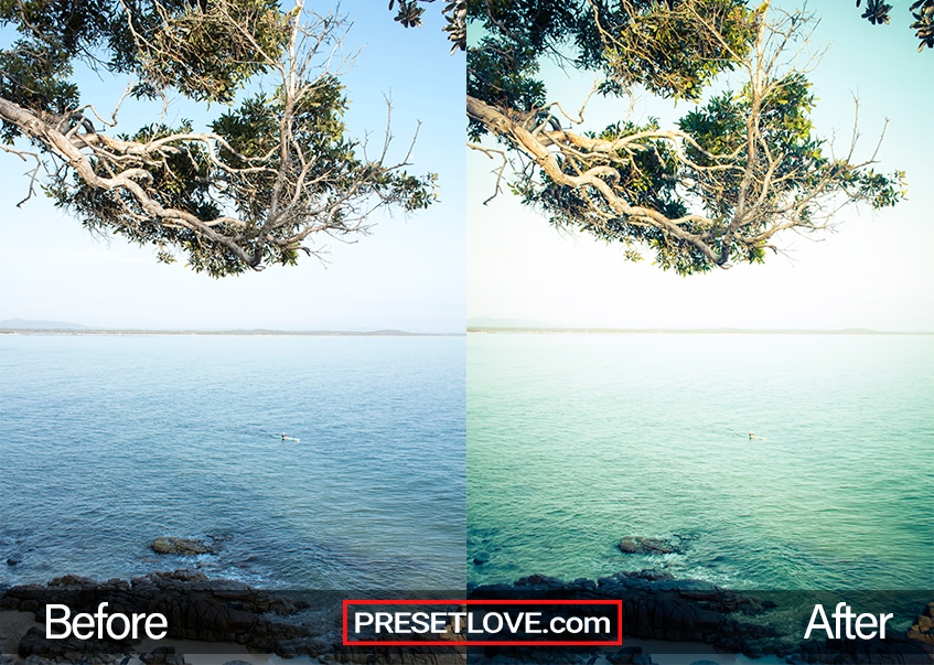 A warm and detailed photo of the sea and some tree branches