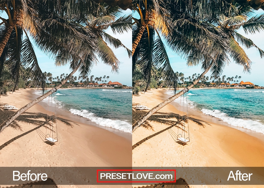 A warm and vivid photo of a swing hanging from a palm tree at a beach