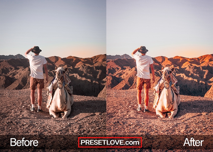 A man viewing a desert terrain with a camel beside him