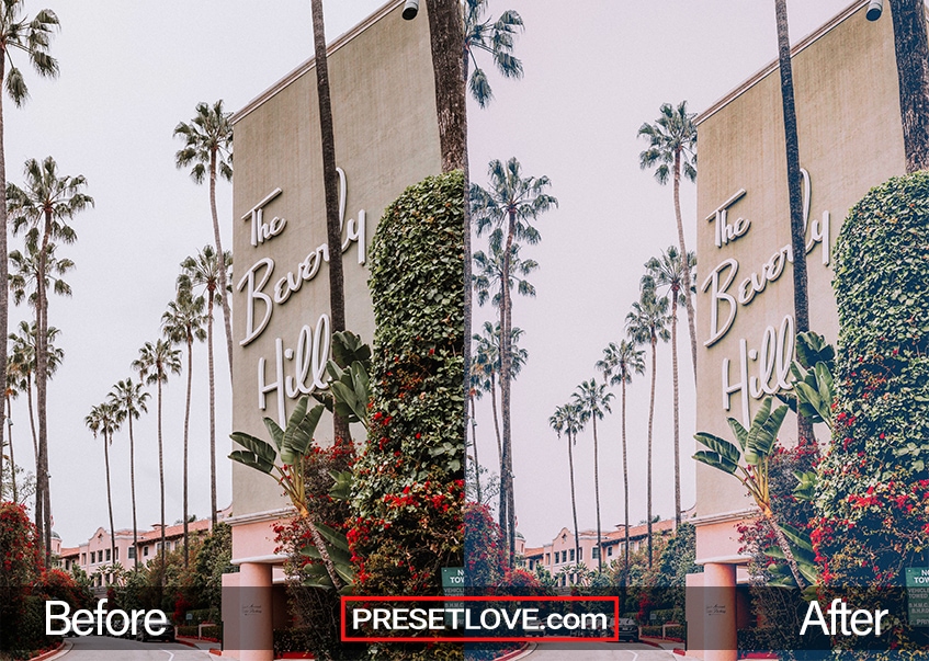 A soft vintage film photo of The Beverly Hills sign