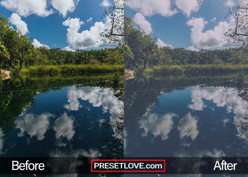 A light film photo of a landscape with clear blue skies and trees reflecting in the water