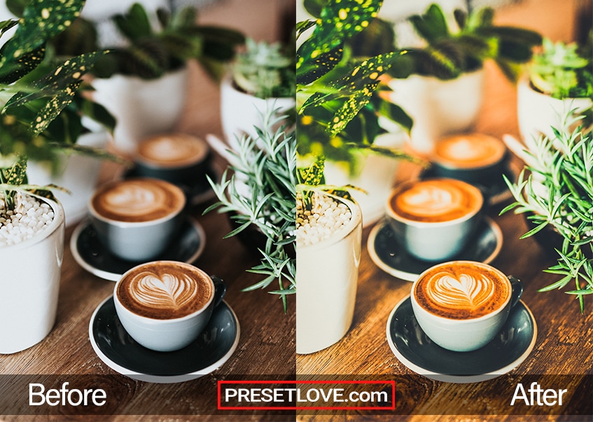 A warm cafe photo of three cups of coffee lined up on a wooden table with plants on the side
