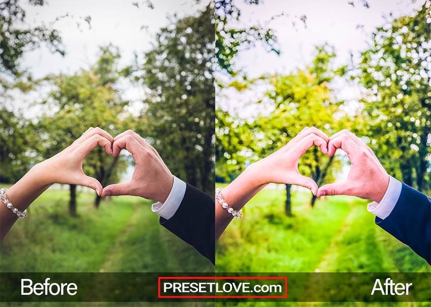 A bright and vivid photo of a couple's hands forming the shape of a heart