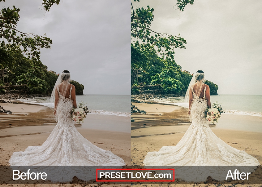 A warm outdoor wedding photo of a bride at the beach, with her back to the camera