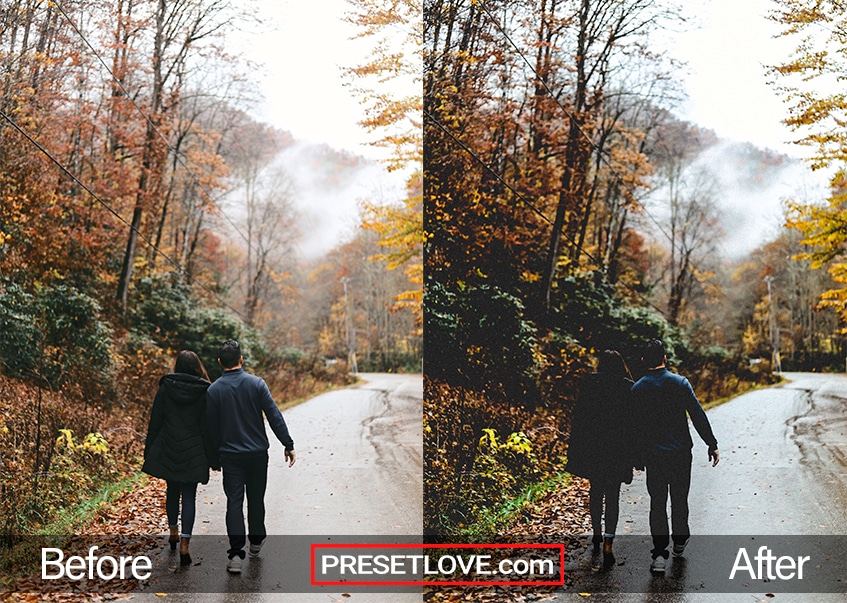 A couple walking on a road lines with trees in autumn