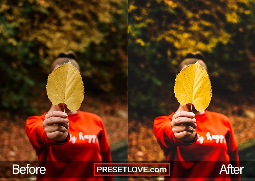 A bright and vivid photo of someone holding up a leaf to the camera