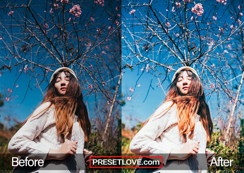 A bright portrait of a woman with cherry blossoms behind her