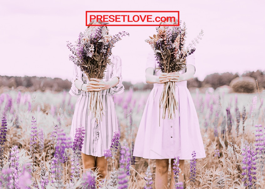 A bright and colorful photo of women holding up lavender flowers, with violet and pink pastel preset used