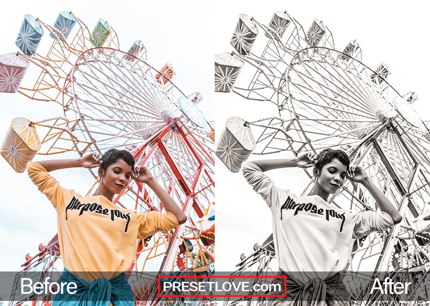 Rich Mono Preset - Ferris Wheel