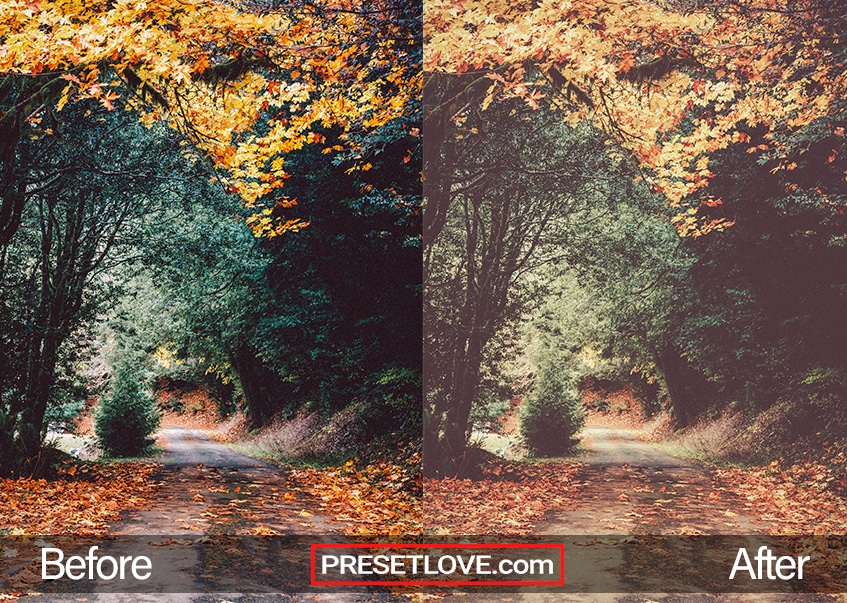 Autumn vintage preset- orange leaves