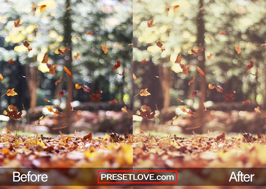 Autumn vintage preset- fall