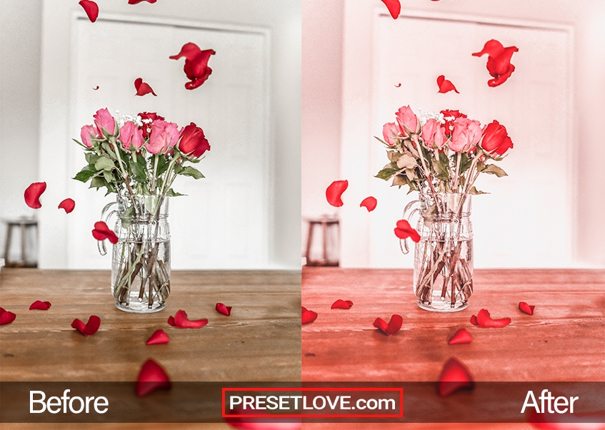 Valentine's Day Preset - roses