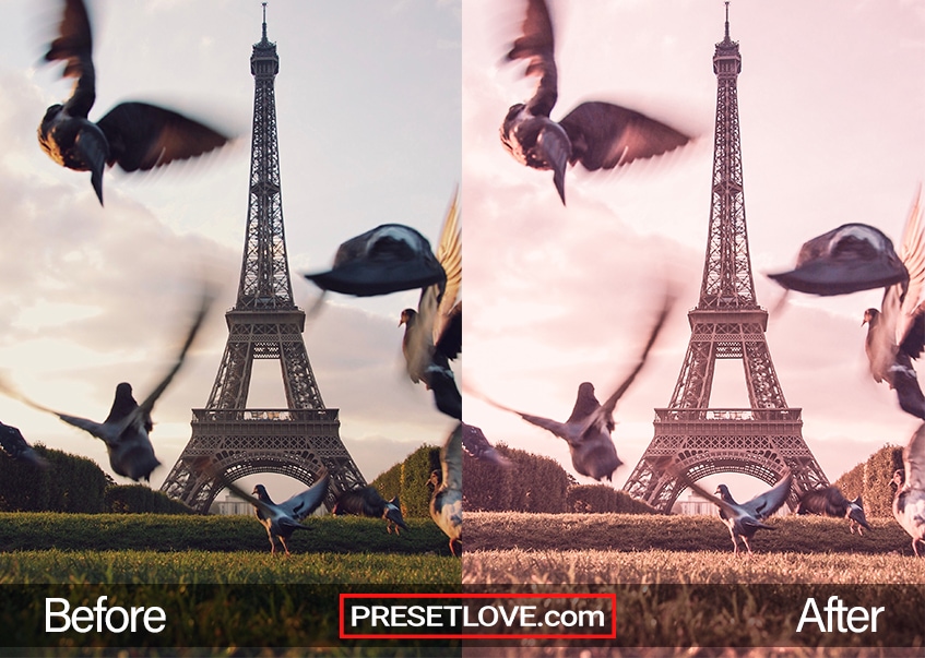 Birds taking flight in front of the Eiffel Tower