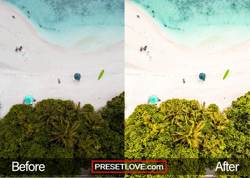 A top-view photo of a beach with vivid green trees