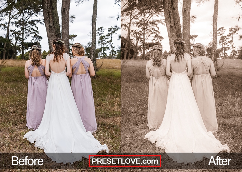 An outdoor sepia photo of bridesmaids with their backs to the camera