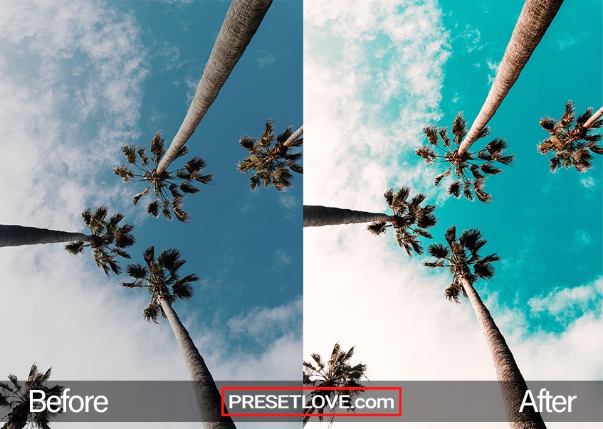 A low-angle vibrant orange and teal photos of three palm trees