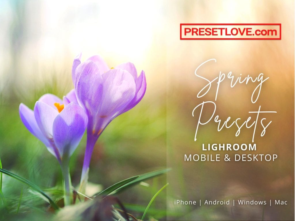 Spring Lightroom Presets by PresetLove