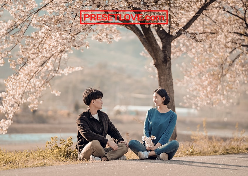 A couple sitting under a cherry blossom tree, enhanced by a Lightroom preset