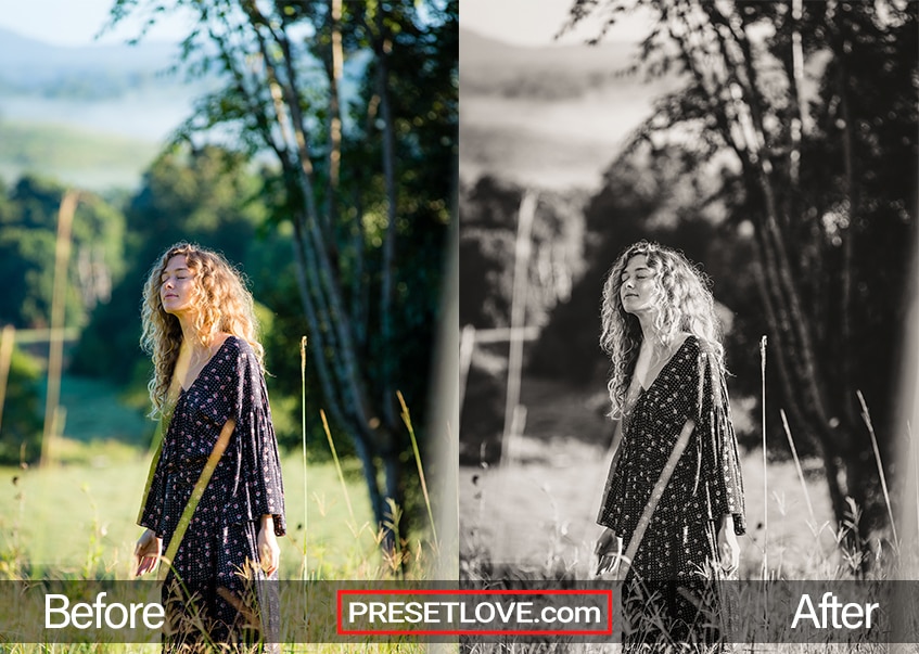 Before and after photo of Warm All Over preset by PresetLove, showcasing warmer tones and improved contrast in the image.