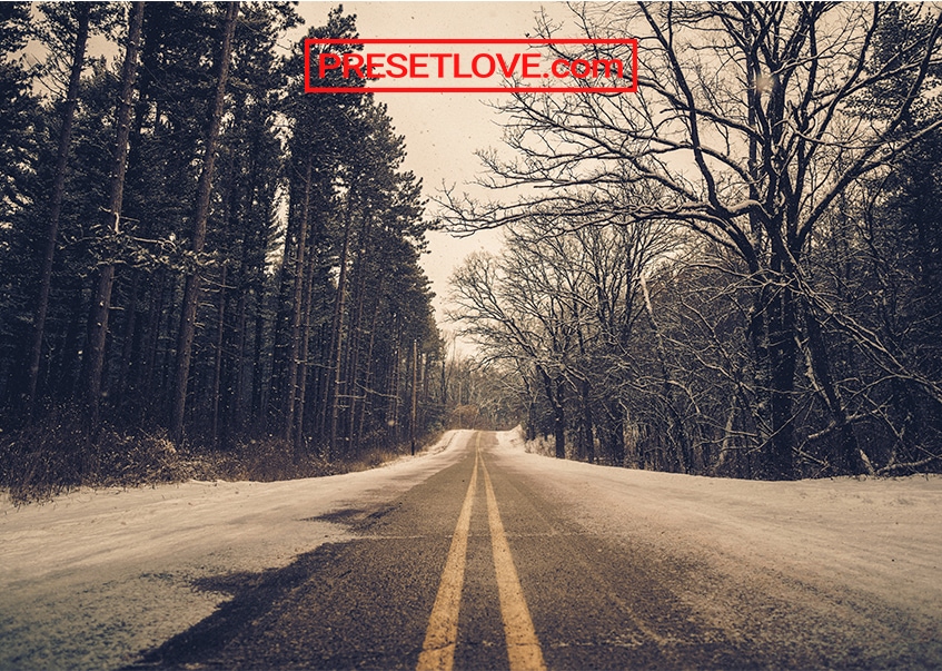 A cross-processed photo of a road lined with trees