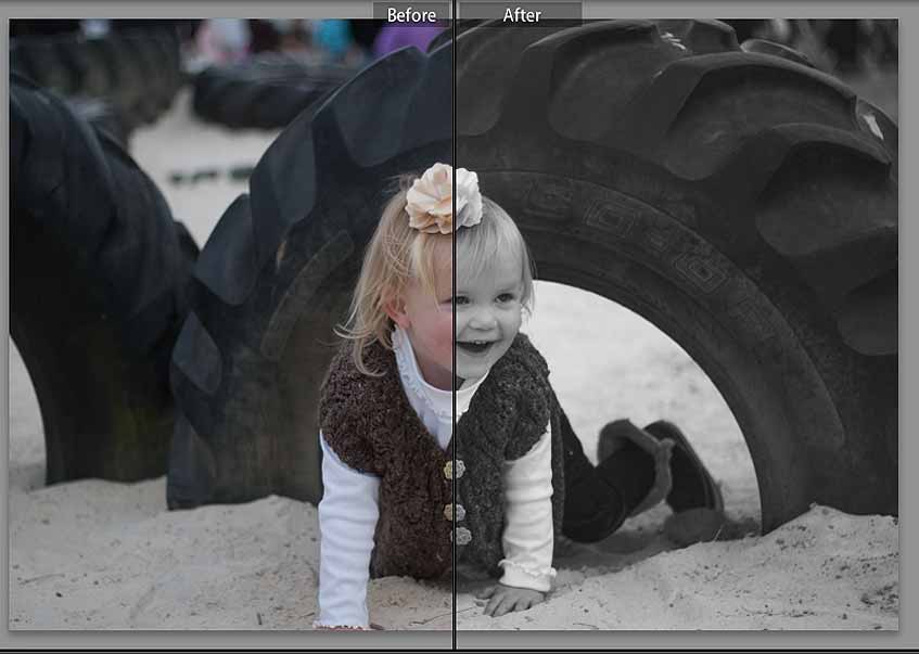 Black and White Free Lightroom Presets