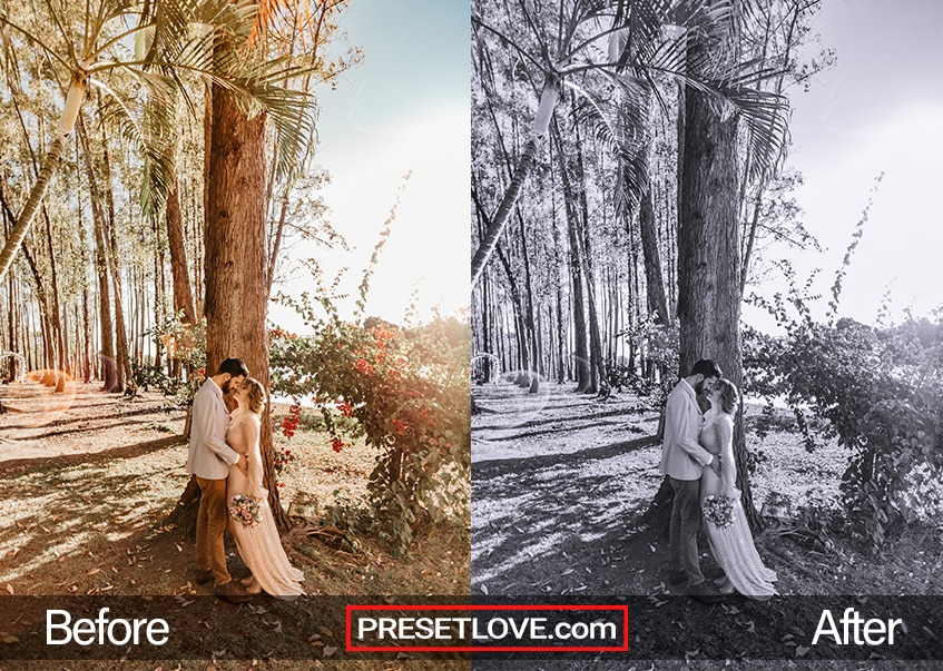 A monochrome photo of a couple underneath a tree