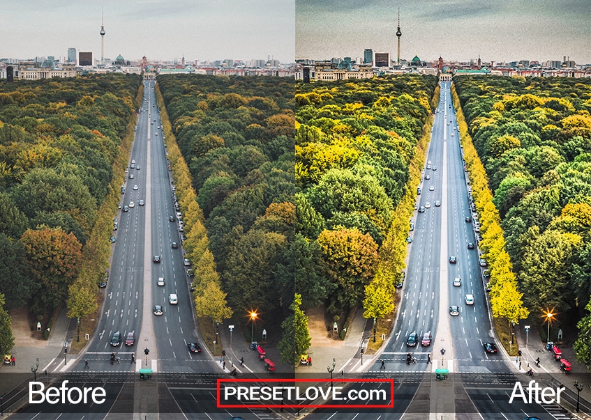 A bright and vibrant photo of an urban street lined with lush trees