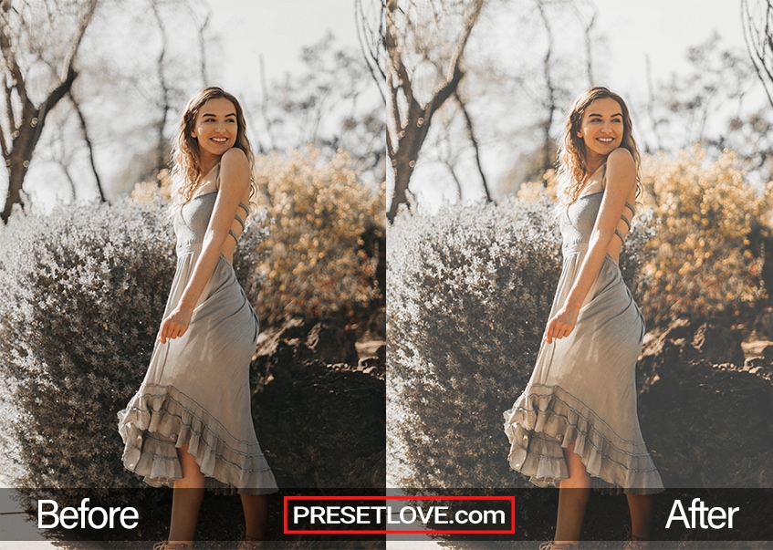 An example photo of a woman in a gray dress, with a soft portrait preset applied