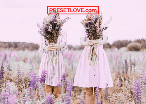 A bright and colorful photo of women holding up lavender flowers