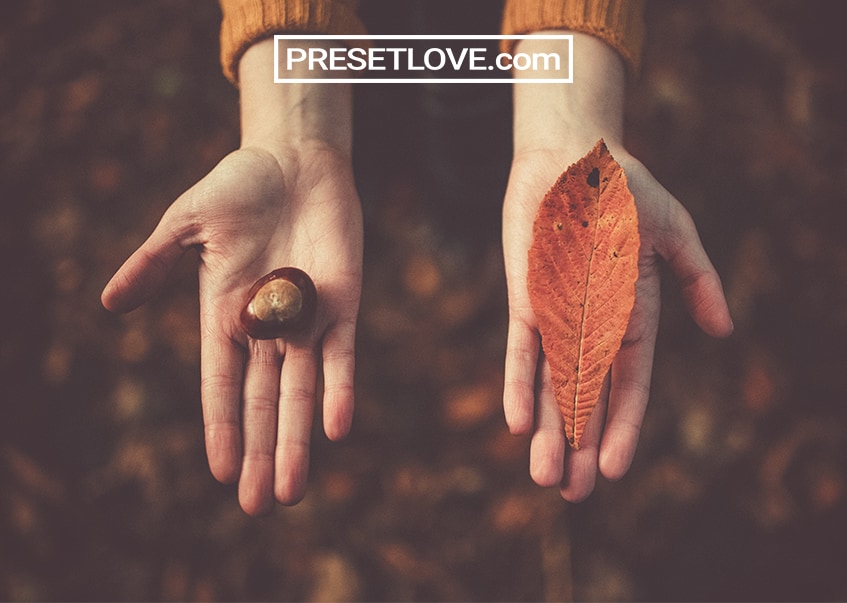 free lightroom presets download