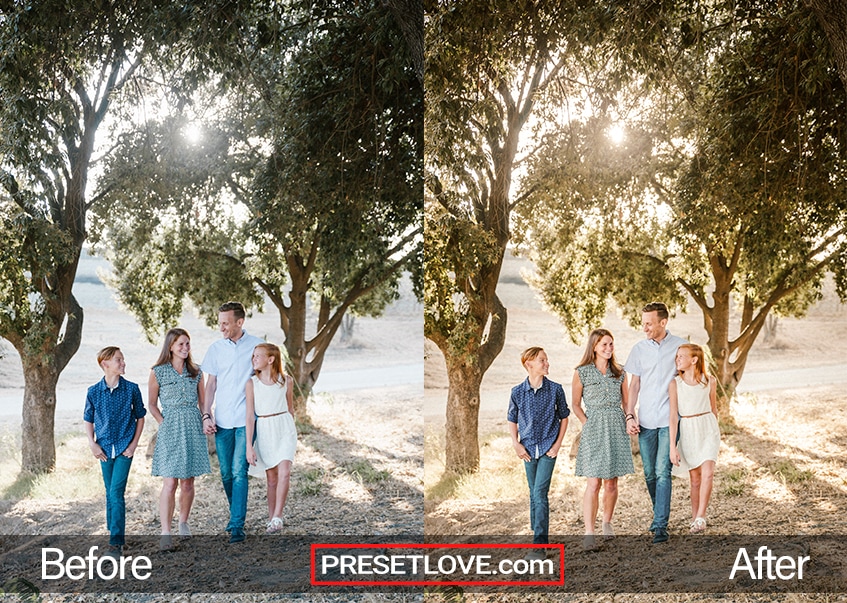 Family Day preset - family