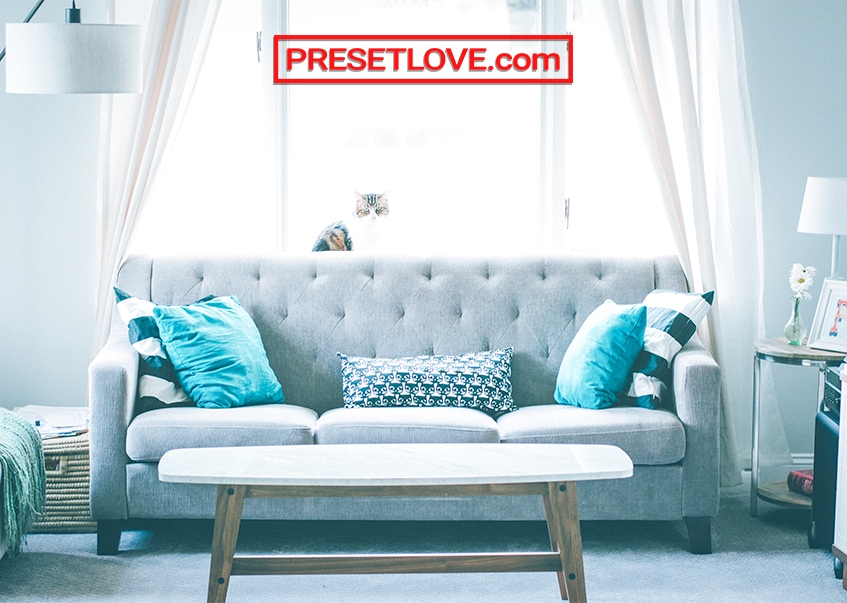 A soft and cool photo of a grey couch with teal pillows