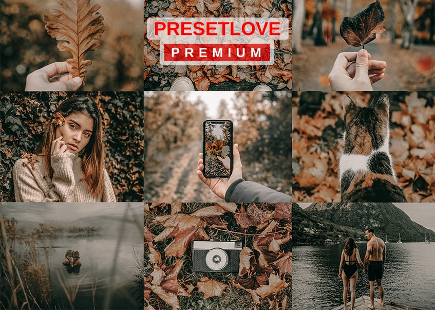 Autumnal Shroud premium preset for fall by PresetLove