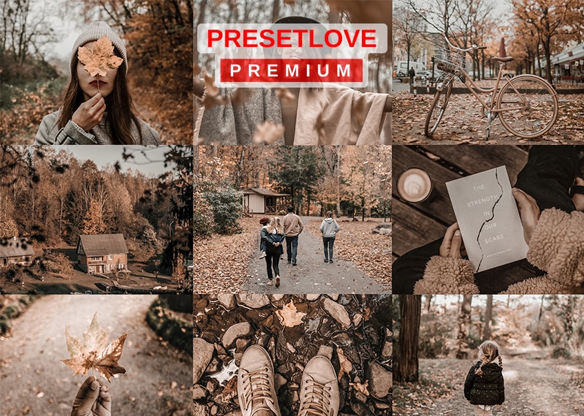 Russet Hue Premium Autumn Brown Preset for Lightroom - PresetLove