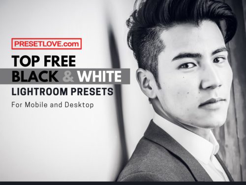 Top Free Black and White Lightroom Presets for Mobile and Desktop - PresetLove