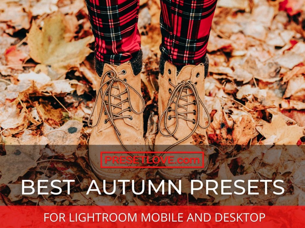 Best Fall Presets for Lightroom - PresetLove Fall Presets