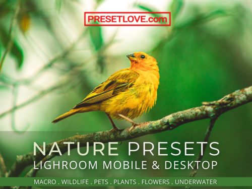 Nature Lightroom Mobile and Desktop Presets by PresetLove